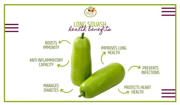 Long Squash Benefits Vega Produce Eat Exotic Be Healthy 6525